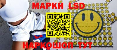 PSILOCYBIN Гудермес