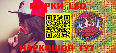 PSILOCYBIN Гудермес