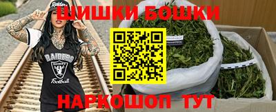 PSILOCYBIN Гудермес