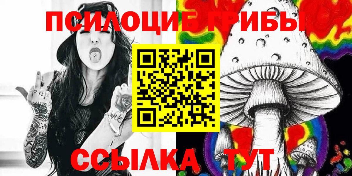 Галлюциногенные грибы Psilocybine cubensis Наро-Фоминск