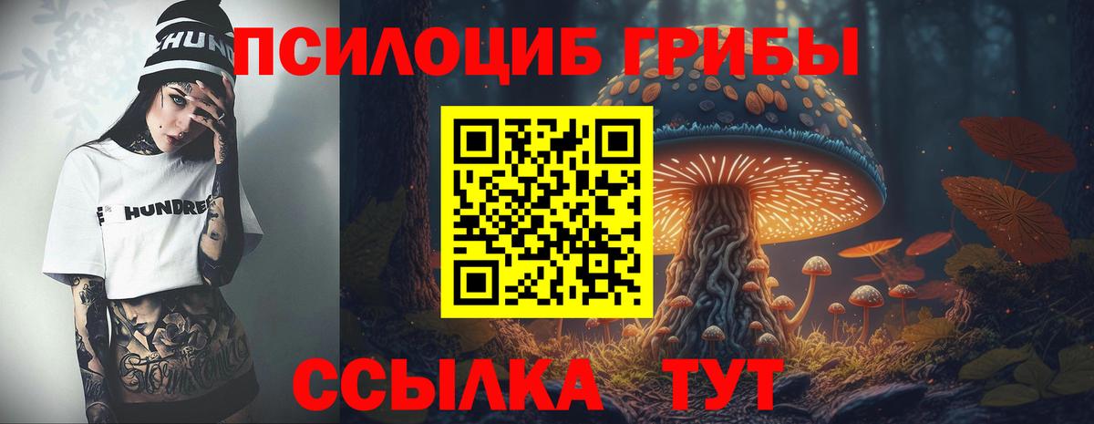 Галлюциногенные грибы Psilocybe  Вход с VPN  Наро-Фоминск  Галлюциногенные грибы мухоморы 